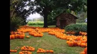 Orange Pumpkin   Fall Song