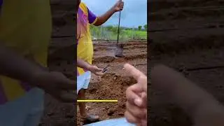 Desi jugad mulching hole technique