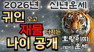 🐯2026년 범(호랑이)띠 신년운세🐯29세 41세 53세 65세 77세 89세/귀인 오고 재물 터지는 나이공개!~#유명법사#유명한점집#신점#호랑이띠운세#신점잘보는곳