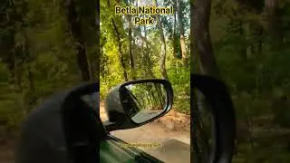 Betla National Park kaisa hai #hindisong #love #roadkingvlogssanjeet #nationalpark #nationalsecurity