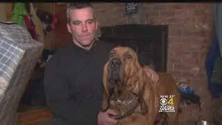 Community Helps Phillipston Police Officer After House Fire