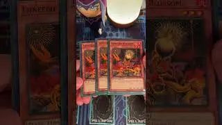 Sylvan's are one of my all-time favorites :)  #yugiohdeck #yugioh #yugiohcommunity #yugiohcards