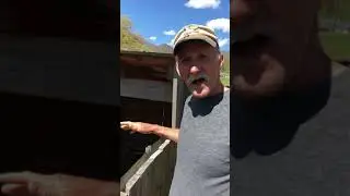 Hog Tractor