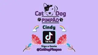 🎬 TikTok CINDY 😻 Cat Dog Pimp&atilde;o 🐶