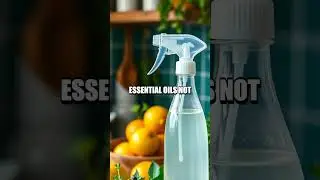 Sustainable Living: Green Cleaning for Eco-Conscious Households