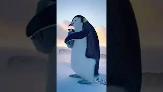 Cute Animal Videos Everyone Is Sharing 🐾🔥