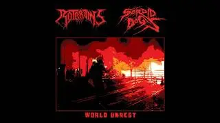 Sordid Dogs / R&ouml;tbrains - World Unrest (Full Split)