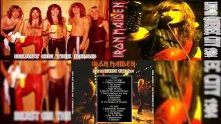 10. Iron Maiden - Guitar Solo (Live In Quebec City Disk 1)