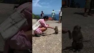 Look at this cutie 🙈😍 #monkey #nusapenidabali #shorts