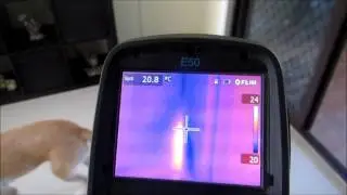 Using a Thermal Camera to find a termite nest in a wall
