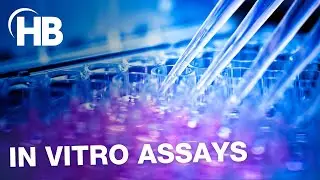 In Vitro Assay Research Solutions by Harvard Bioscience | Explainer Video