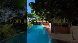 Top resort in Munnar | Budget Stay in Munnar | Best Resorts in Munnar | Stays in Munnar | #munnar