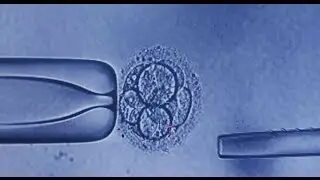FUTURE BABY - Trailer