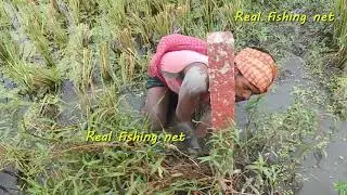 Eel Catching System In Land  Deep Hole  -Real fishing net