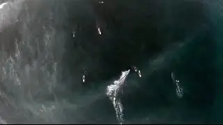 DJI Phantom Vision 2 Plus Drone