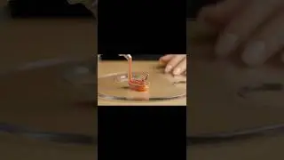 Magic Paint Tube Creates a Living Nudibranch 🐌 | Hyperrealistic AI ASMR #oddlysatisfying #shorts