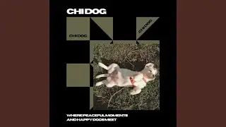 Snooze and Soothe: Puppy Style (417 Hz Audio)