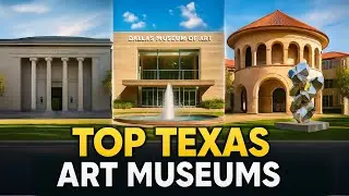 Top 10 Art Museums in Texas | Discover Art Across the Lone Star State