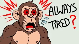 Why Your Body Is Always Tired in the Gym?? #gymtips #gymmonkey
