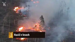 Hasiči v lesoch