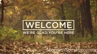 Fall Colors Welcome HD Loop by Motion Worship