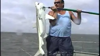 outer banks n.c.  shanes shark.avi