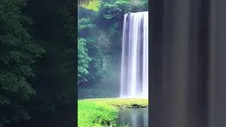 🌧️ Pure Nature Sound Escape
