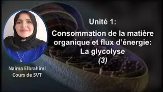 Cours SVT 2Bac Biof: Consommation de la matière organique et flux d’énergie: Glycolyse (2) SVT et PC