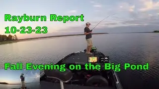 Rayburn Report October 23 2023 - Fall Evening on Rayburn