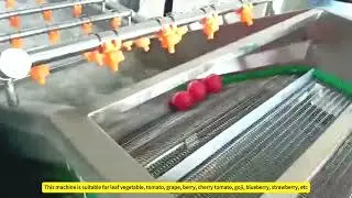 Vegetable Fruit Washing Machine