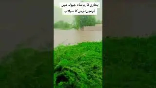 Bukhari farm shah jewna high level flood || Allah mahf kari