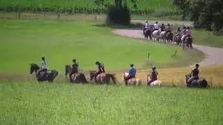 ponykamp Clusius College 2016