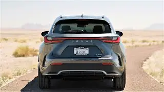 2023 Lexus NX 350 Walkaround