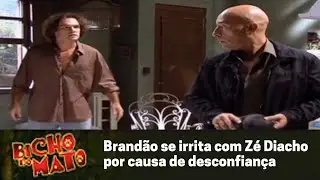 Brand&atilde;o se irrita com Z&eacute; Diacho por causa de desconfian&ccedil;a - Bicho do Mato