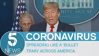 Coronavirus: New York in lockdown as Trump announces Easter timeline | 5 News