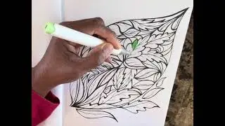 Adult Coloring Creations #coloringbooks #coloringmarkers #hobbies #artandcraft #coloring techniques