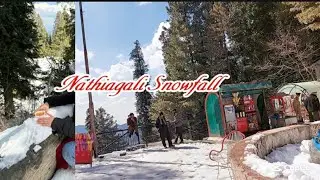 Last Snowfall Of This Season Nathiagali | Snowfall  | SK's Tasty Dishes