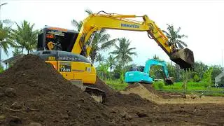 Perfectly Synchronized: Watch These Mini Excavators Transform Raw Land