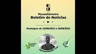 Boletim de Notícias | Destaques de 13 a 19 de setembro de 2021