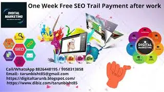 best seo companies in delhi || best seo company delhi ncr