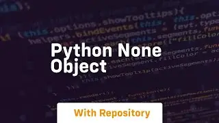 python none object