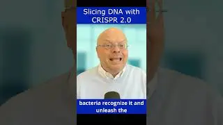 Slicing DNA with CRISPR 2.0