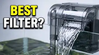 Best Aquarium Filters for Beginners (Top 3 Compared)