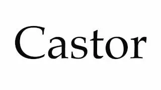 How to Pronounce Castor