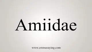 How To Say Amiidae