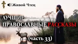 БРОСИЛА СЫНА РАДИ КУРОРТОВ, А В СТАРОСТИ ПРИПОЛЗЛА НИЩЕЙ... ЛУЧШИЕ ПРАВОСЛАВНЫЕ РАССКАЗЫ часть 33