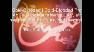 MW 2 perks Offical