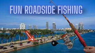 Roadside fishing adventure that nobody expects