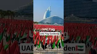 Beautiful UAE Flag Garden Dubai 🇦🇪❤️| #shorts #shortsfeed #beautiful #uaeflag #garden #dubai #viral