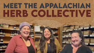 Hurricane Helene Re-Leaf Effort with the Appalachian Herb Collective